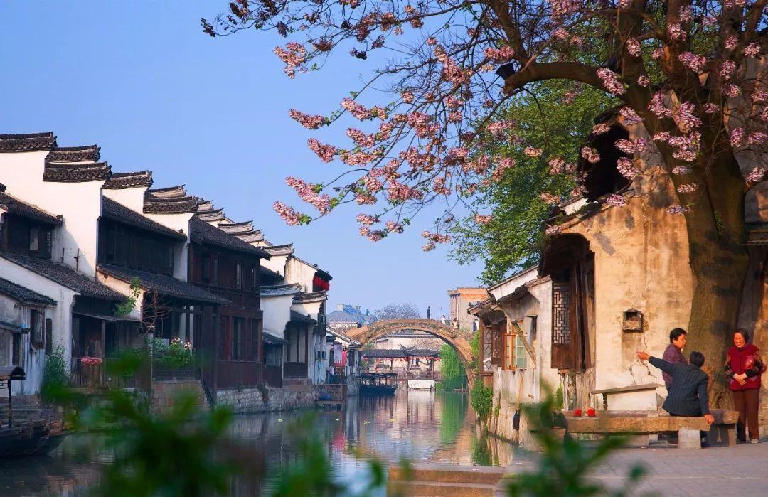 打呀么打飞机